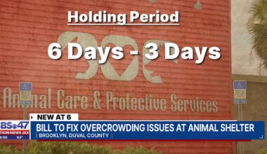 Jacksonville Animal Care aims to halve holding period for stray and runaway pets – Action News Jax