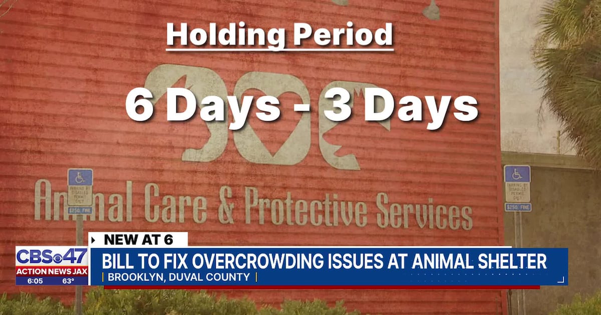 Jacksonville Animal Care aims to halve holding period for stray and runaway pets – Action News Jax