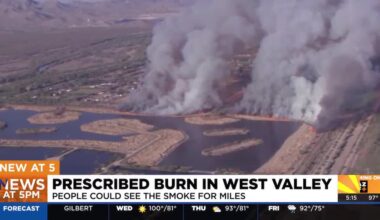 Firefighters called prescribed burn in west Phoenix a success