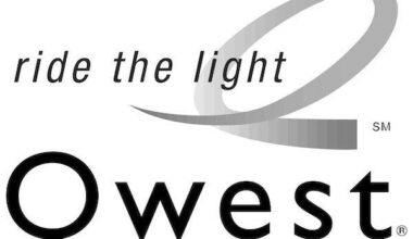 Technology Bubbles: Causes and Consequences