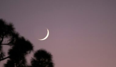 Wire 3 adds Port St. Lucie to their Florida fiber footprint