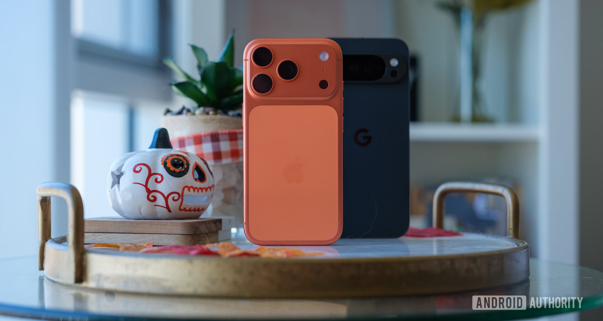 iPhone 17 Pro vs Pixel 10 Pro XL cameras 1