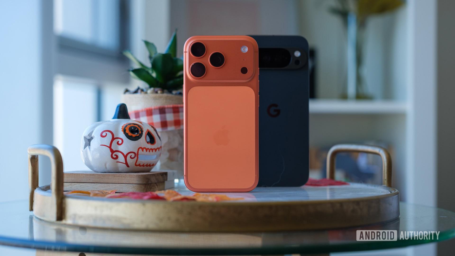 iPhone 17 Pro vs Pixel 10 Pro XL cameras 1