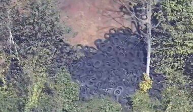Hundreds of illegally dumped tires found near Philadelphia airport