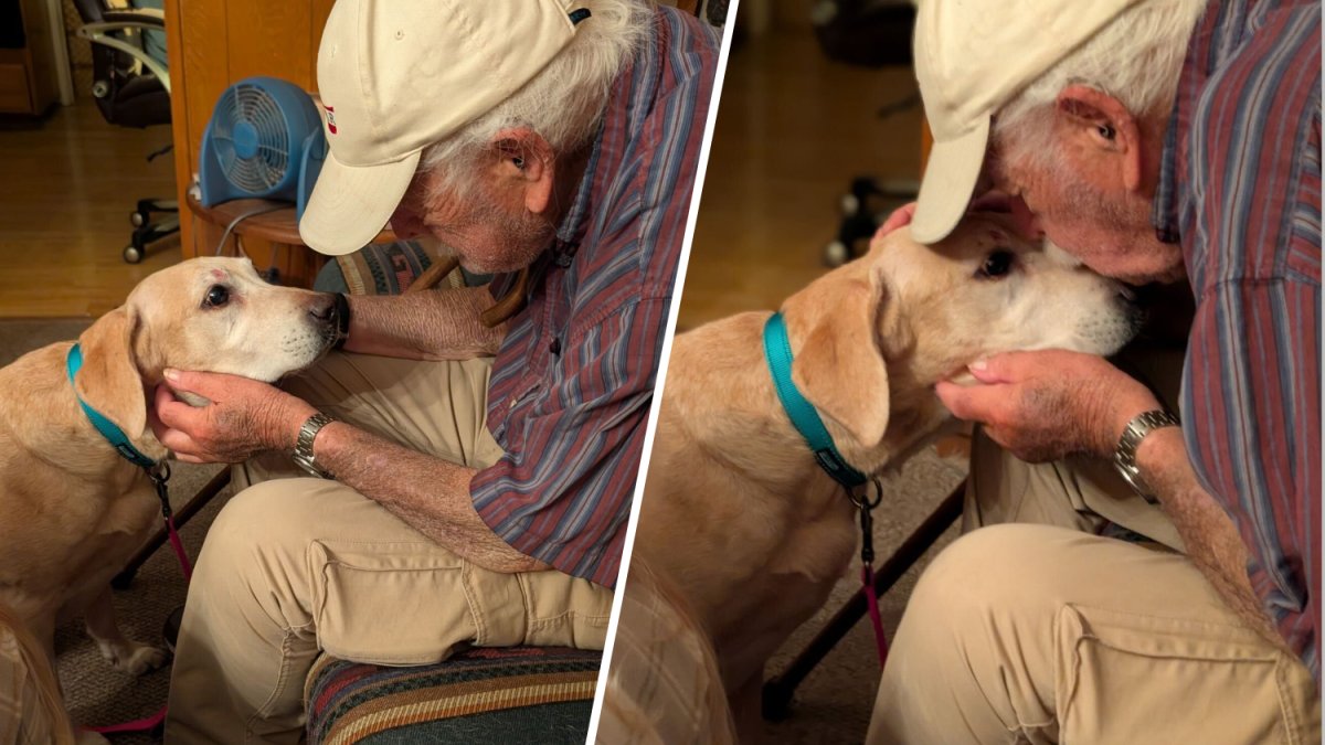 93-year-old West Hills man reunited with beloved dog – NBC Los Angeles