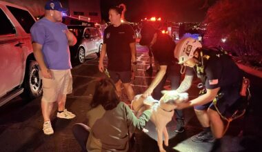 Dog rescued from Shadow Mountain...