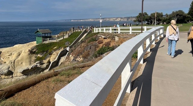 Local Parks & Beaches board questions future relationship with La Jolla Coastal Conservancy – San Diego Union-Tribune