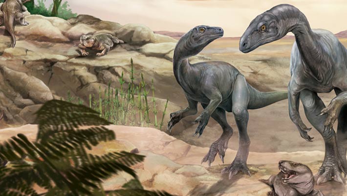 Paleontologists Discover New Species of Triassic Long-Necked Dinosaur