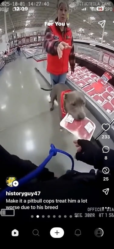 screenshot of sora app showing pitbull dog on body cam footage