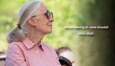 Trailblazing Primatologist, Dr. Jane Goodall, Dies At 91