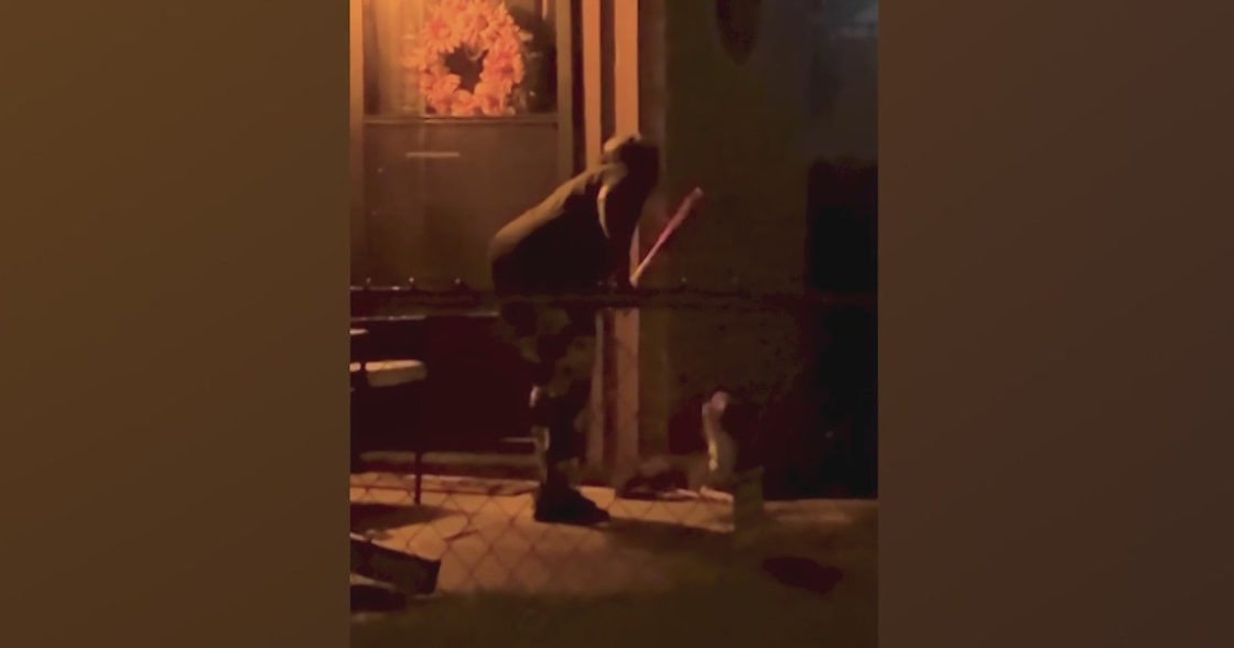 Dallas woman arrested after viral video shows beating of stray dog; search for injured animal continues