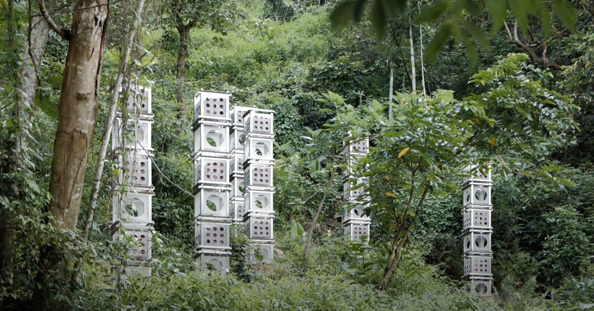 industrial modules and organic soil build installation that grows with the forest