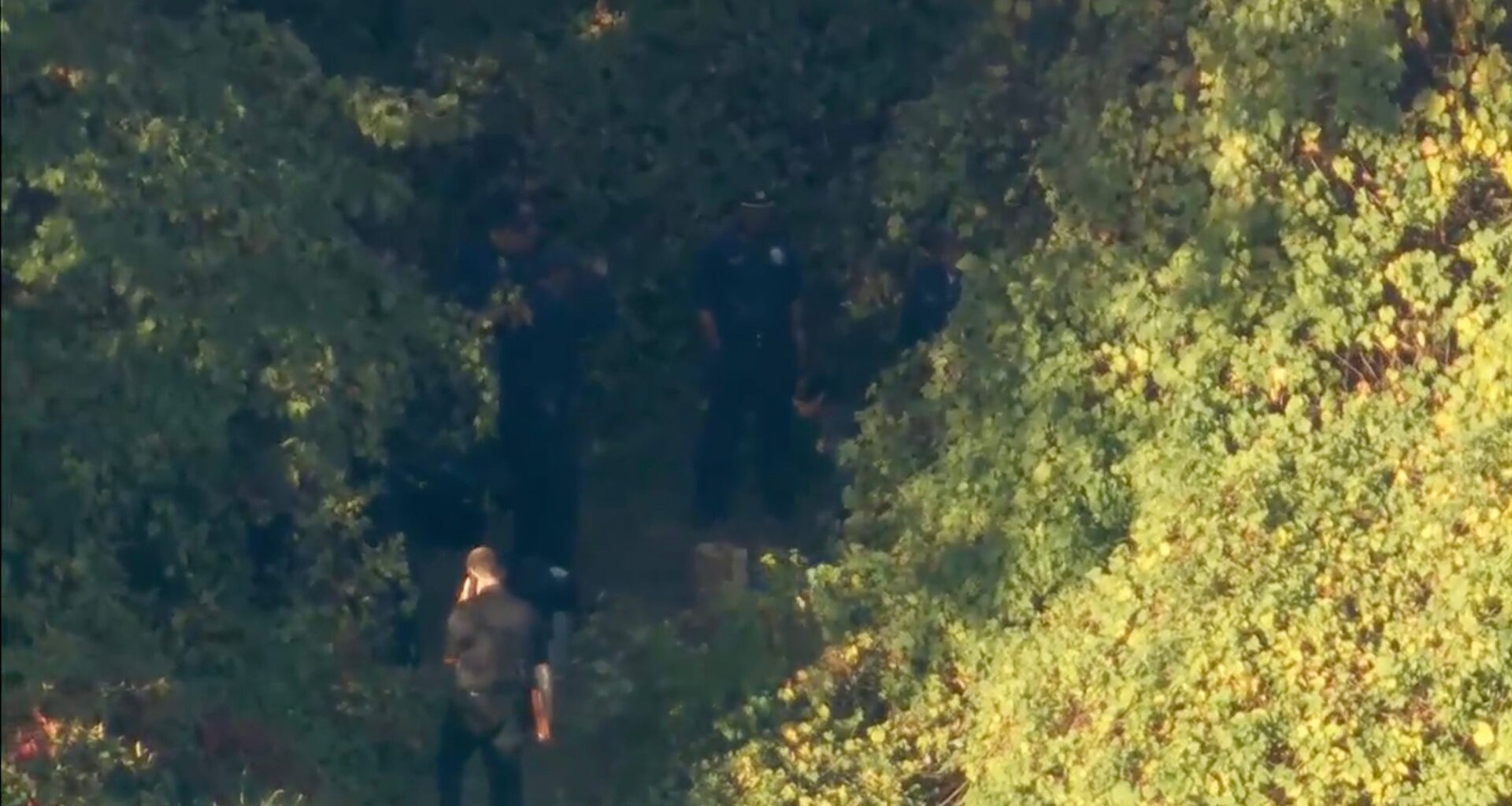 Female remains found amid search for Kada Scott