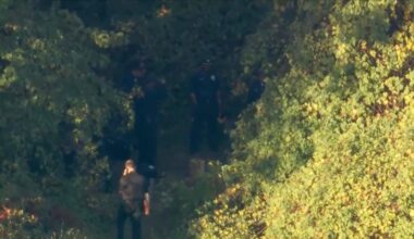 Female remains found amid search for Kada Scott