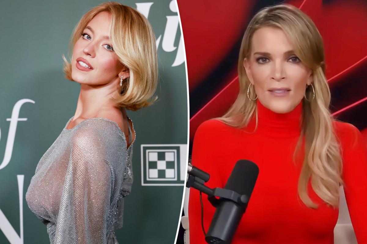 Megyn Kelly rails against Sydney Sweeney's see-through silver dress: 'I object'