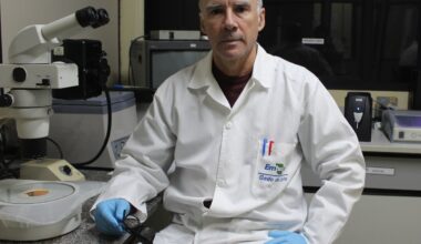 Gene editing advances in creation of new generation of foods | Agribusiness