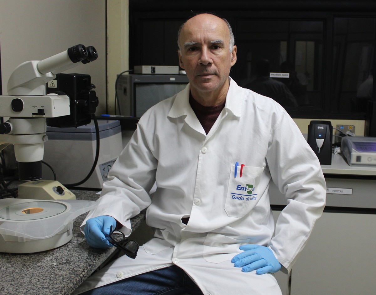 Gene editing advances in creation of new generation of foods | Agribusiness