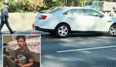 Man fleeing immigration agents is fatally struck by a vehicle on a Virginia highway