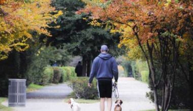 DFW outdoor adventures to enjoy with your dog this fall