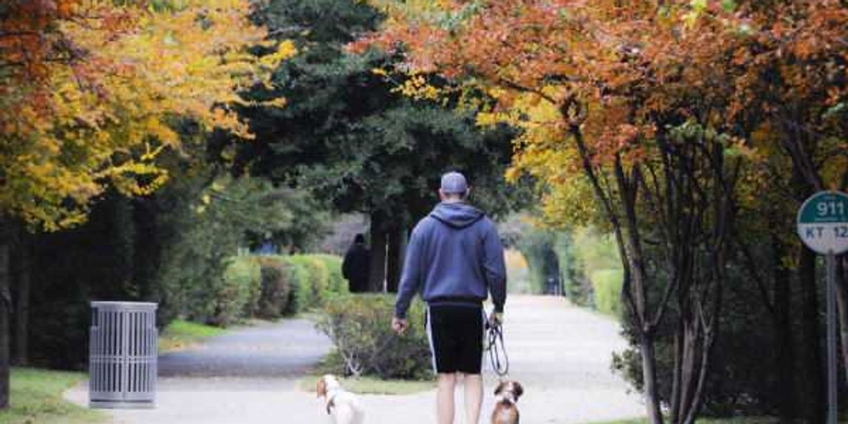 DFW outdoor adventures to enjoy with your dog this fall
