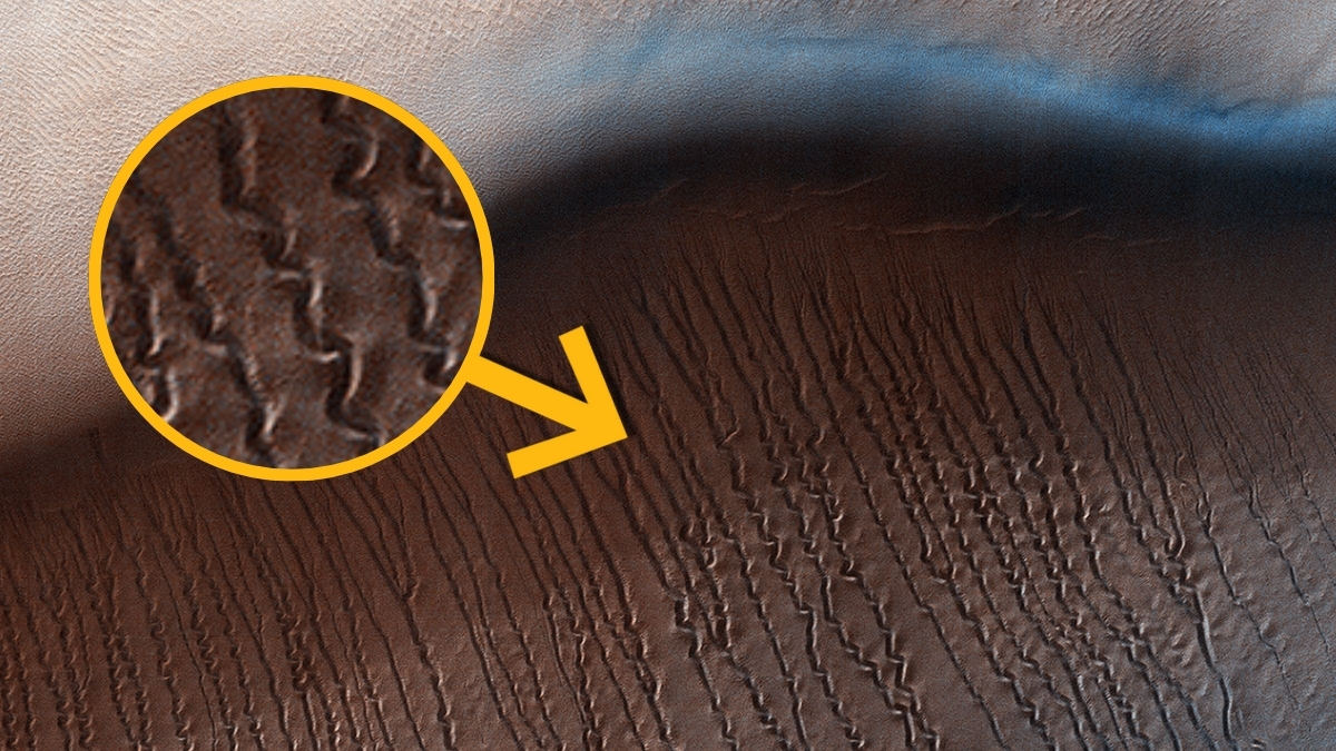 Experiment Reveals What Is Truly Burrowing Beneath Mars's Dunes Each Spring : ScienceAlert