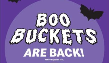 McDonald’s announces 2025 return of Boo Buckets – with 2 new faces – NBC Chicago