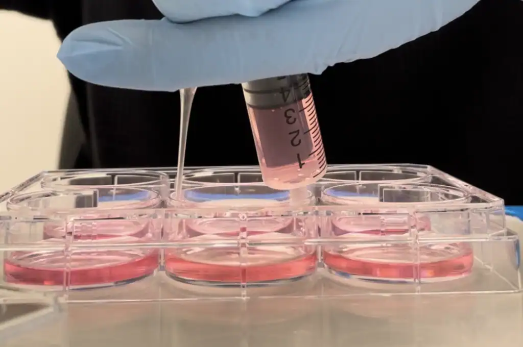 A hand holding a syringe applying a pink chemical into cell cultures in a plastic dish