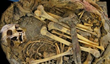 1,000-year-old Mesoamerican mummy from Mexico reveals ancient human gut microbiome