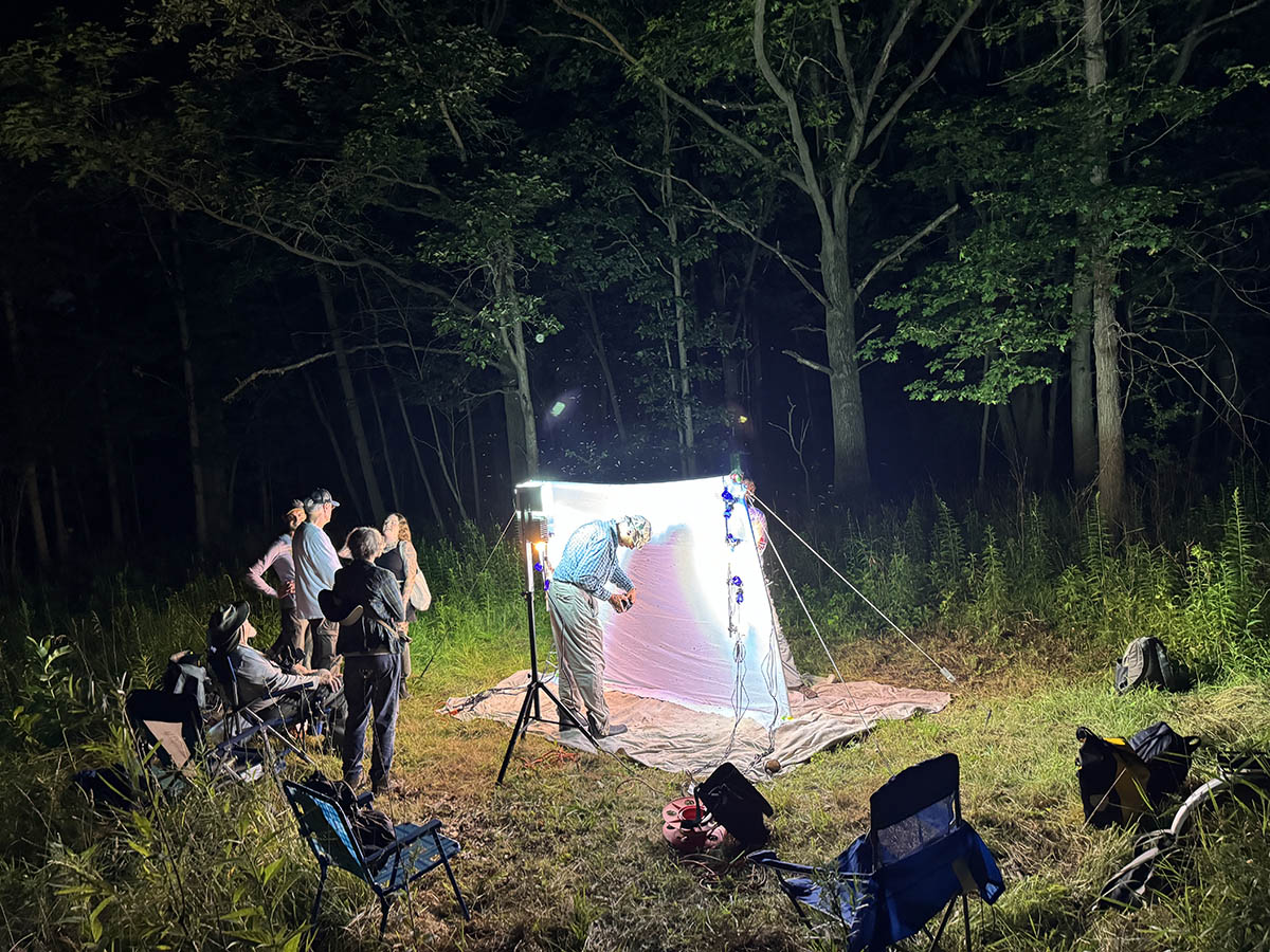 Chicago’s creatures of the night