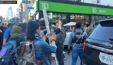ICE raids target vendors selling counterfeit goods on NYC's Canal Street, DHS says