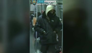 Person of interest in random slashing spree in Brooklyn in custody, police say