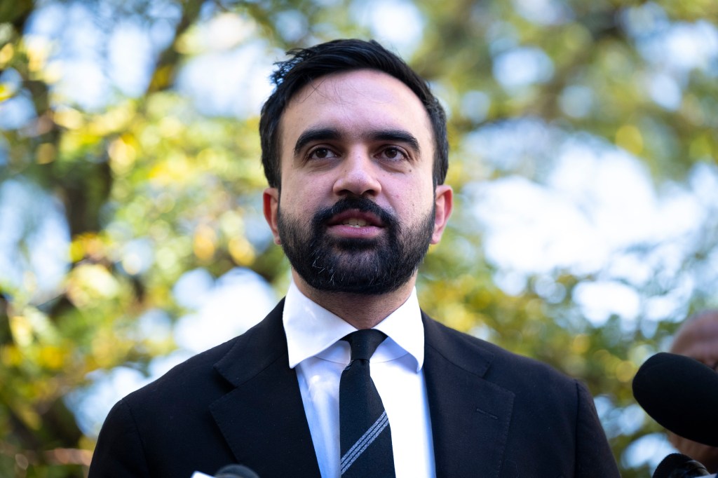 New York State Representative Zohran Mamdani.