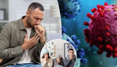 What is 'Stratus'? Inside the cough New Yorkers can't seem to shake