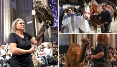 Pets flood NYC church for annual ‘blessing’ event, honoring dogs, turtles, parakeets and more