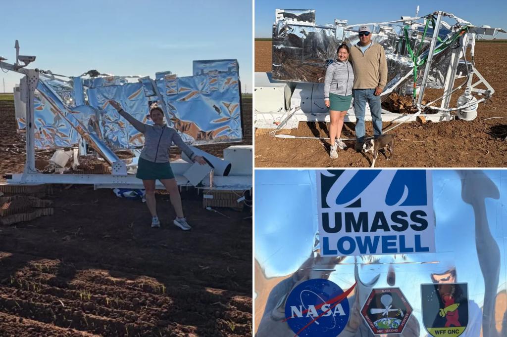 Texas woman Ann Walter surprised as lost hunk of NASA equipment lands on her farm