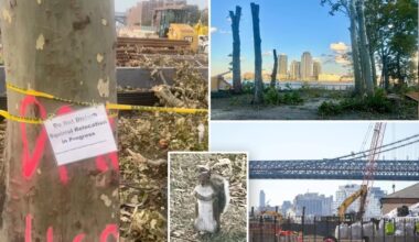 NYC squirrels saved from ‘certain death’ inside barren construction site – after locals reveal city had no rescue plan