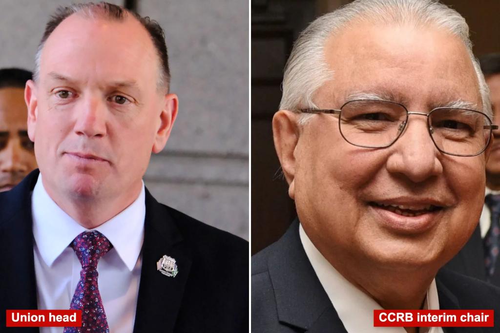 PBA calls chairman of anti-cop complaint board 'blatantly biased'