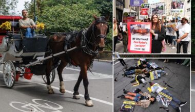 NYCLASS spends millions to ban horse carriages in NYC
