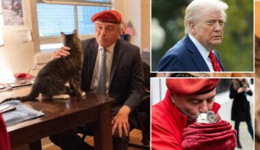 Trump cringes over Curtis Sliwa's cat obsession in spicy breakdown of NYC mayoral race: 'Isn't exactly ideal'