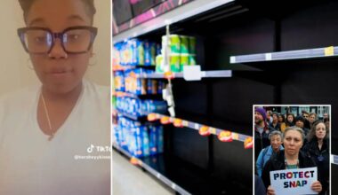 Walmart, NYC-area grocery stores threatened with mass looting after SNAP benefits expire: sources