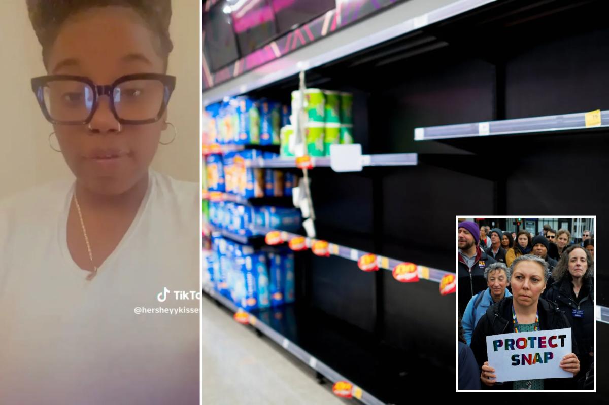 Walmart, NYC-area grocery stores threatened with mass looting after SNAP benefits expire: sources