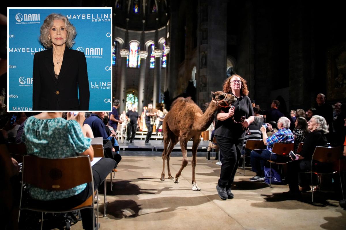 Jane Fonda pops up at NYC's annual animal blessing event -- then chows down on some Harlem fried chicken