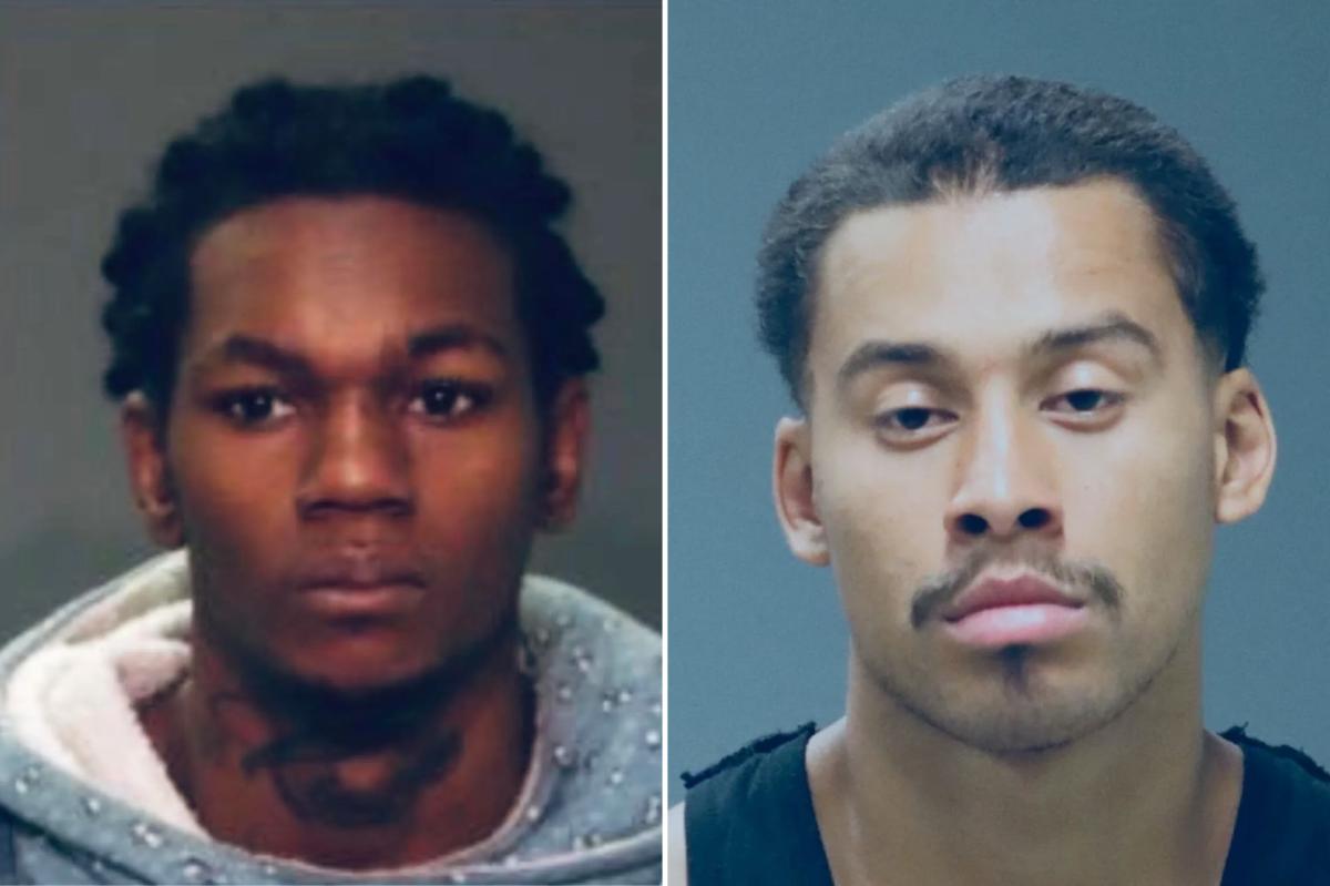 NY ‘justice’ is now a revolving door for serial violent perps — and Mamdani will make it WORSE