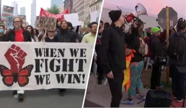 Broadview protests continue ahead of ‘No Kings’ rallies – NBC Chicago