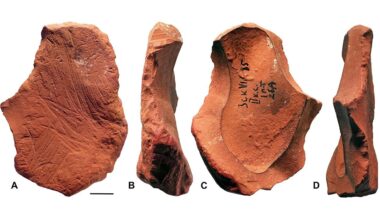 42,000-year-old ochre crayons reveal Neanderthals engaged in symbolic behavior