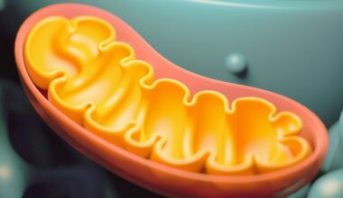 Mitochondria Dump Their Rubbish DNA, And It Could Be Costing Us Our Health : ScienceAlert
