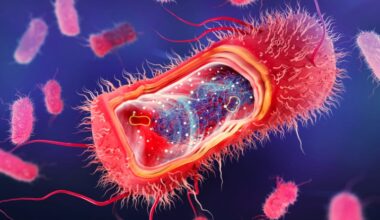 Fragments of Bacteria in Our Gut May Lull Our Brains to Sleep at Night : ScienceAlert