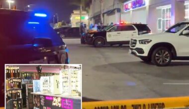 LA customer shoots dead alleged creep who groped shopper and threatened to kill everyone inside beauty store
