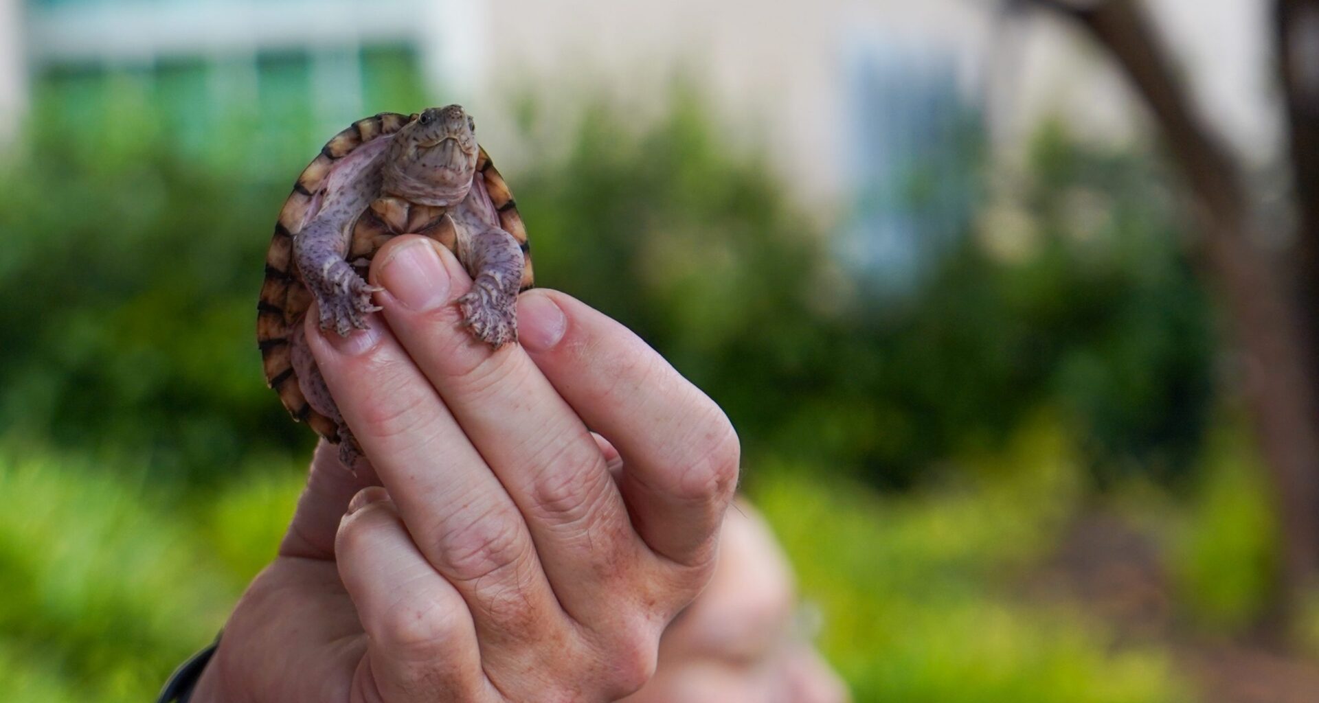 TCU pet blessings raise awareness for ‘God’s creatures’ ahead of St. Francis Day