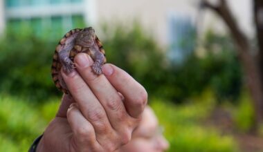 TCU pet blessings raise awareness for ‘God’s creatures’ ahead of St. Francis Day